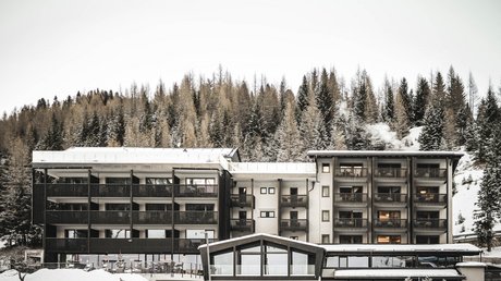 Galleria immagini Galleria immagini